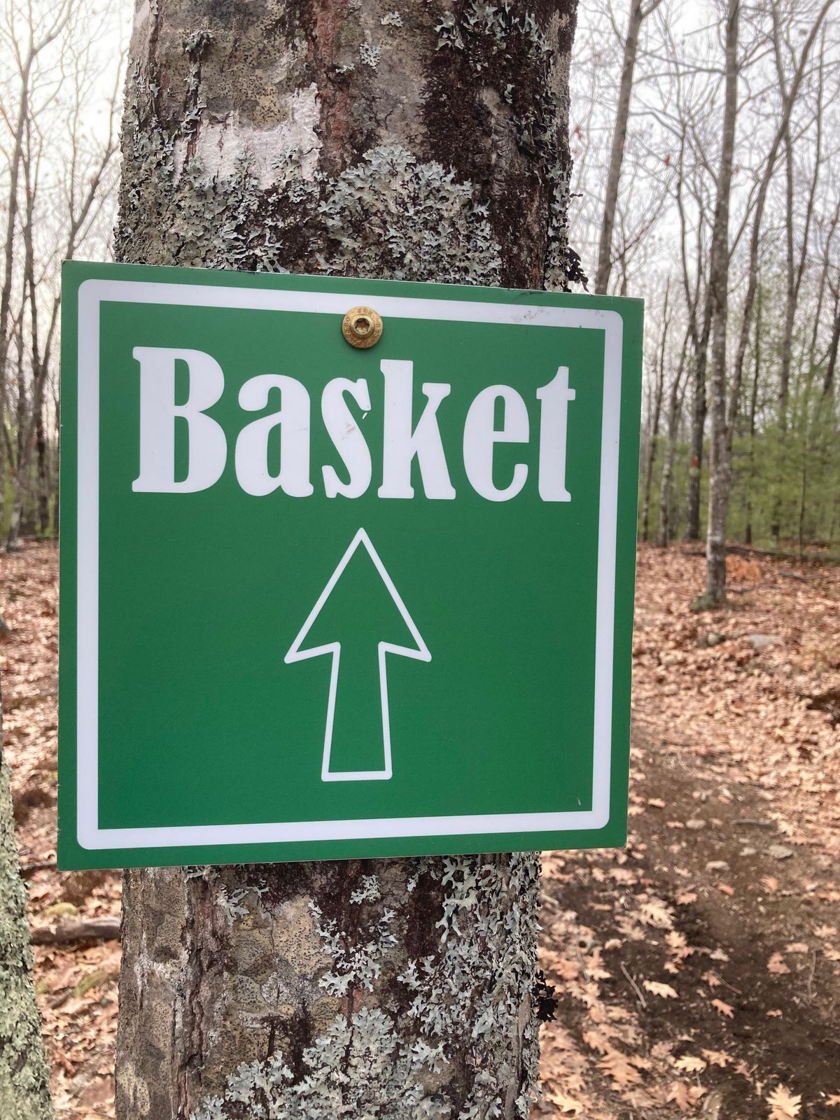 Basket markers for blind drives