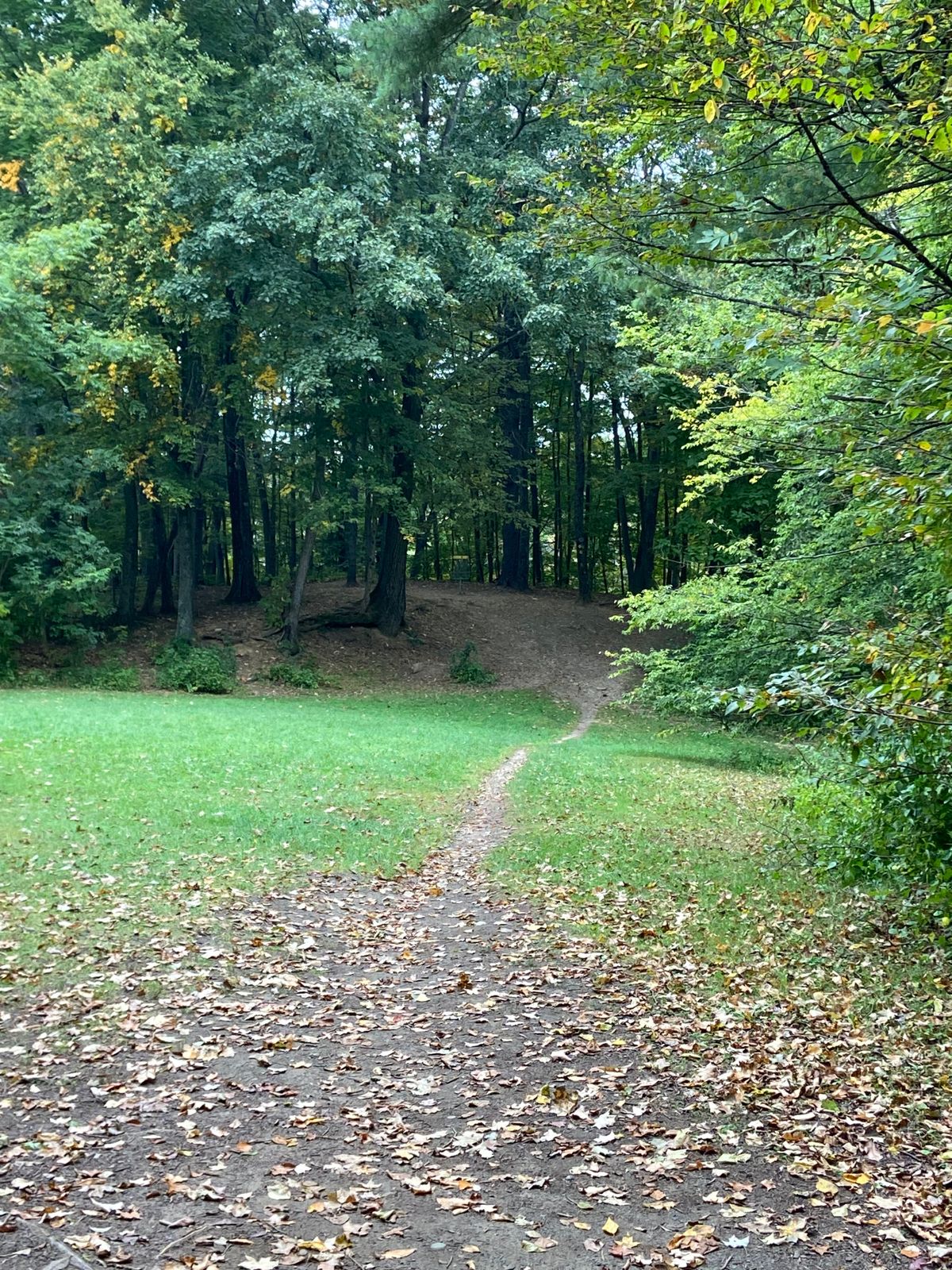 Hole 6a