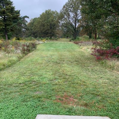 Hole 12 Tee