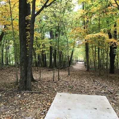 Hole 12. Downhill, long tunnel to filter to the basket.