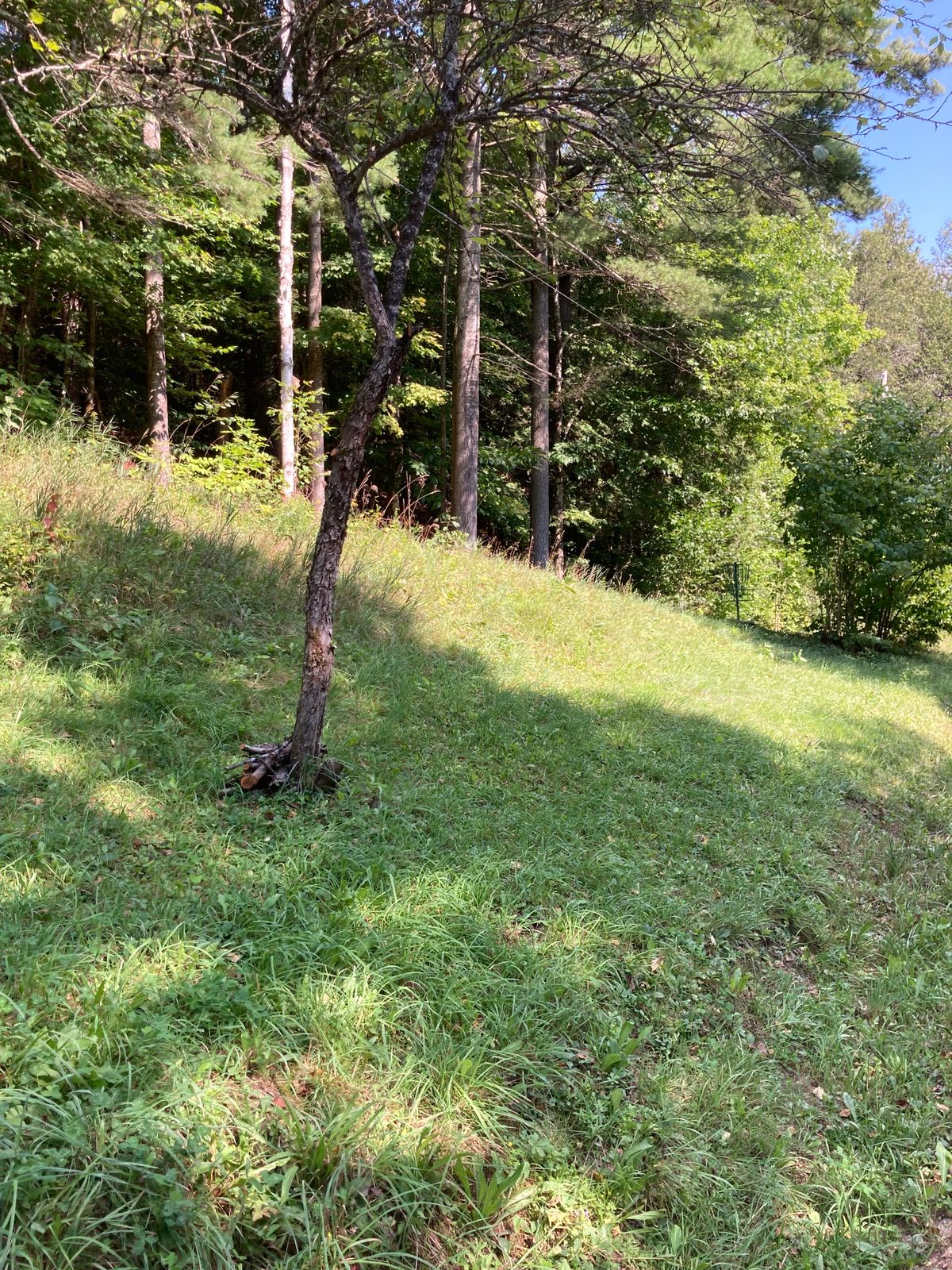Hole 18 basket ( center)