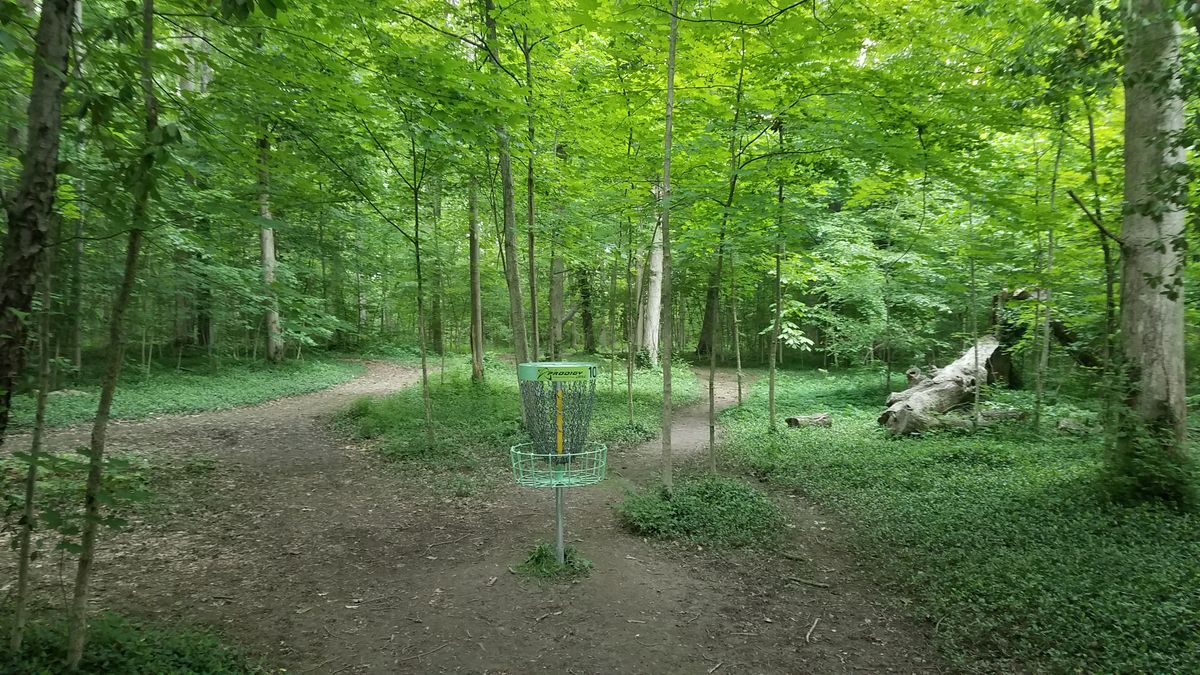 Looking back from the long position