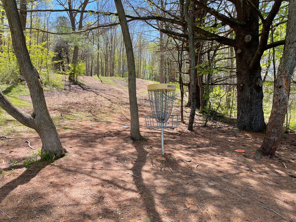Hole 11 Basket to Tee