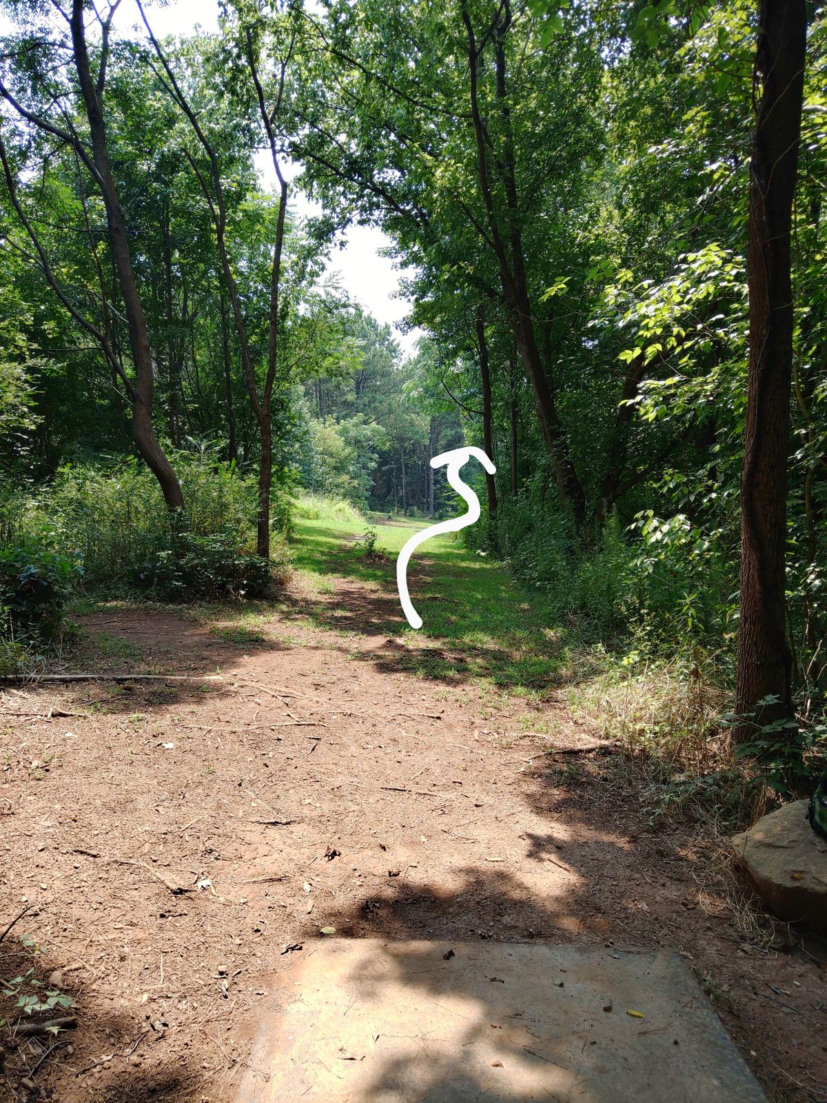 View from tee box. (Super long and snakes through trees)