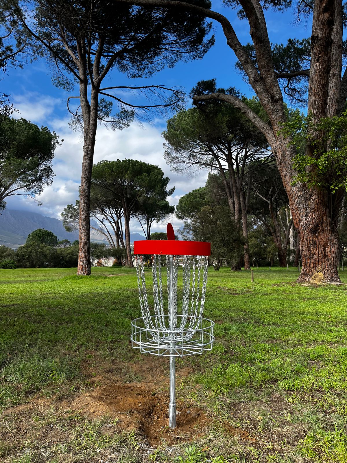 4 new permanent baskets