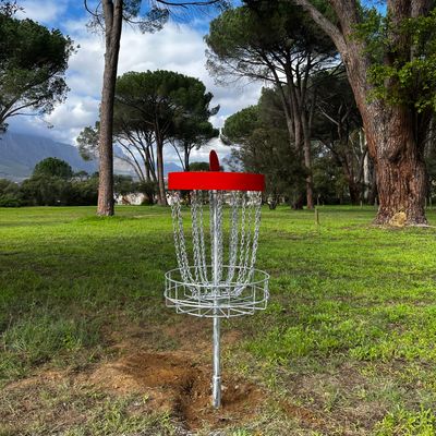 4 new permanent baskets