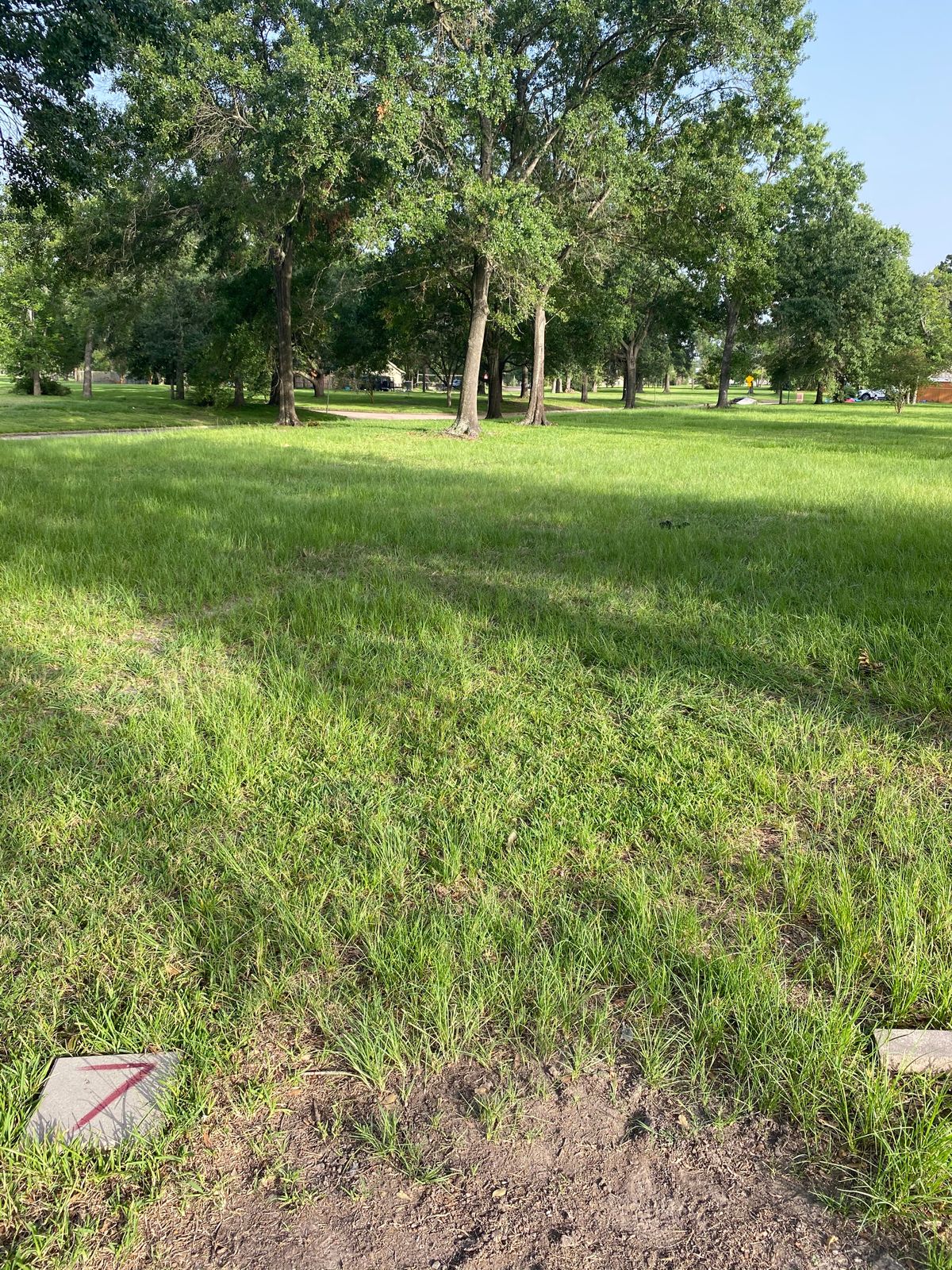 Hole 7