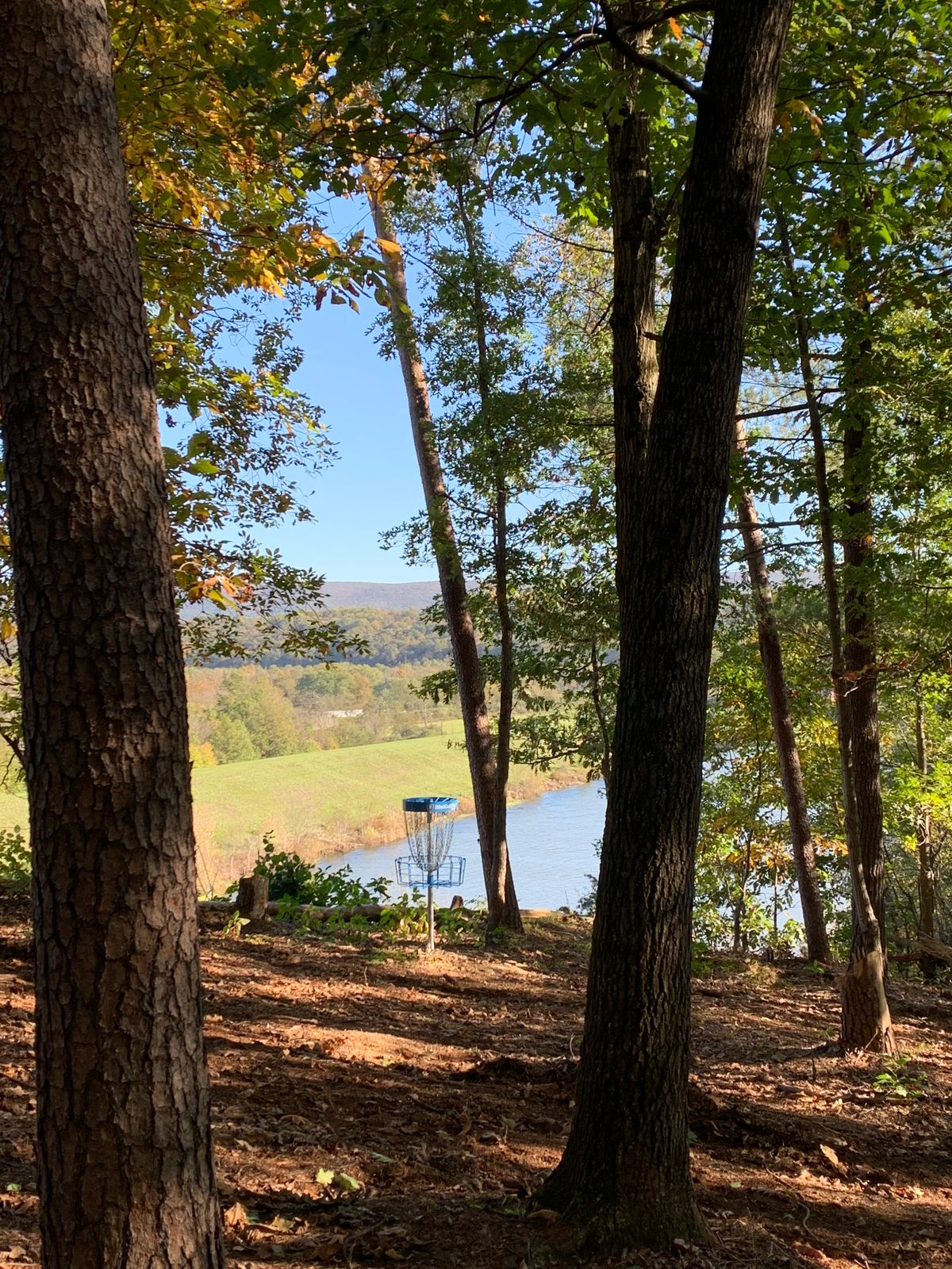 Hole 12 basket. Do not go long! 😀