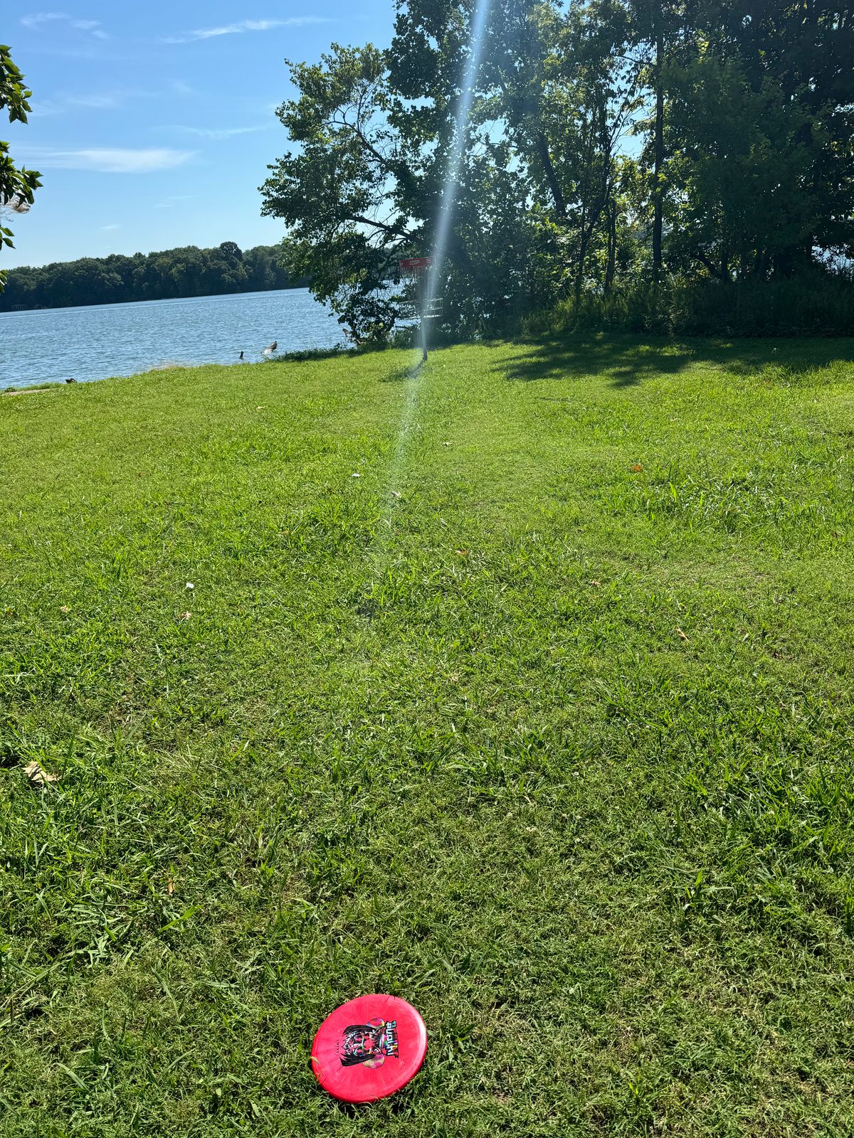 Hole 15