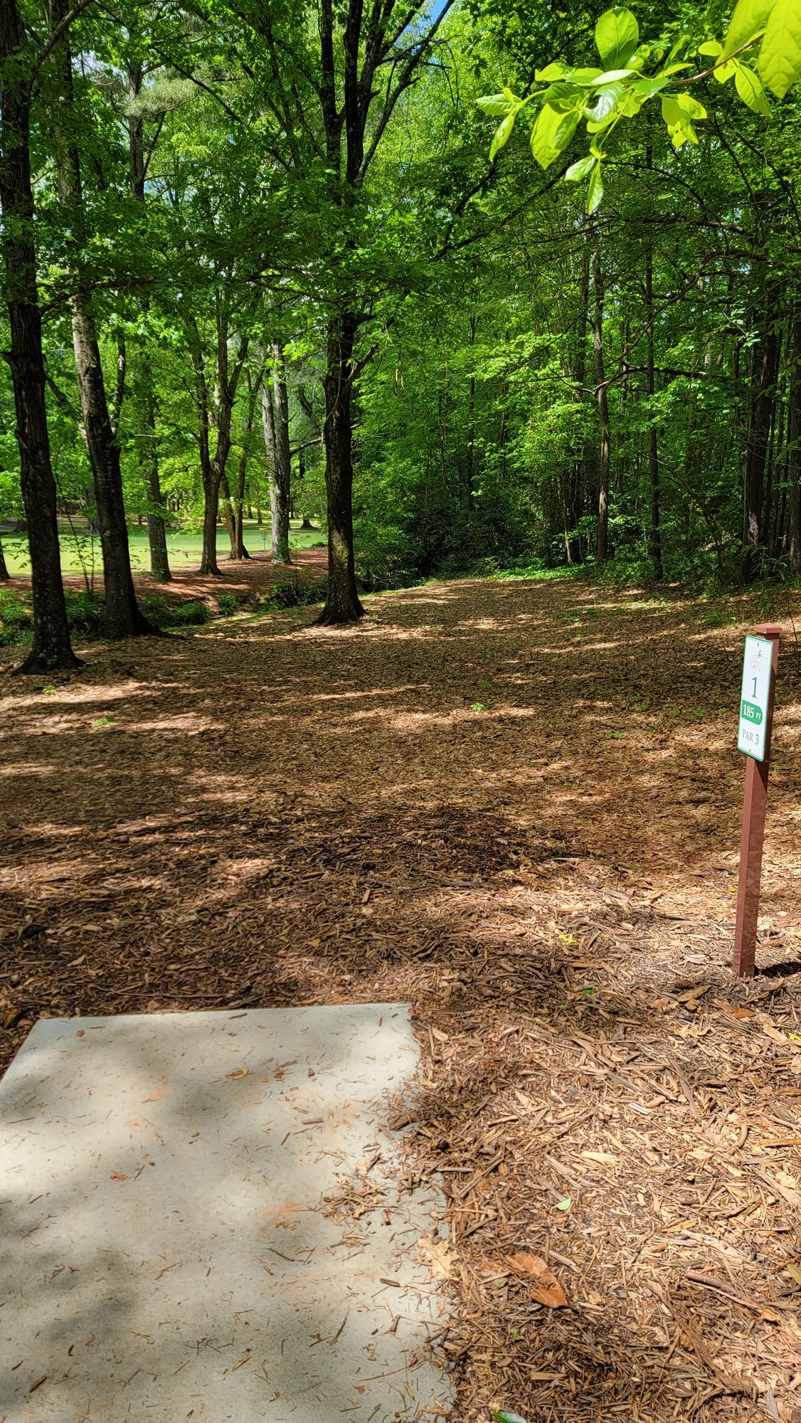 Hole 1