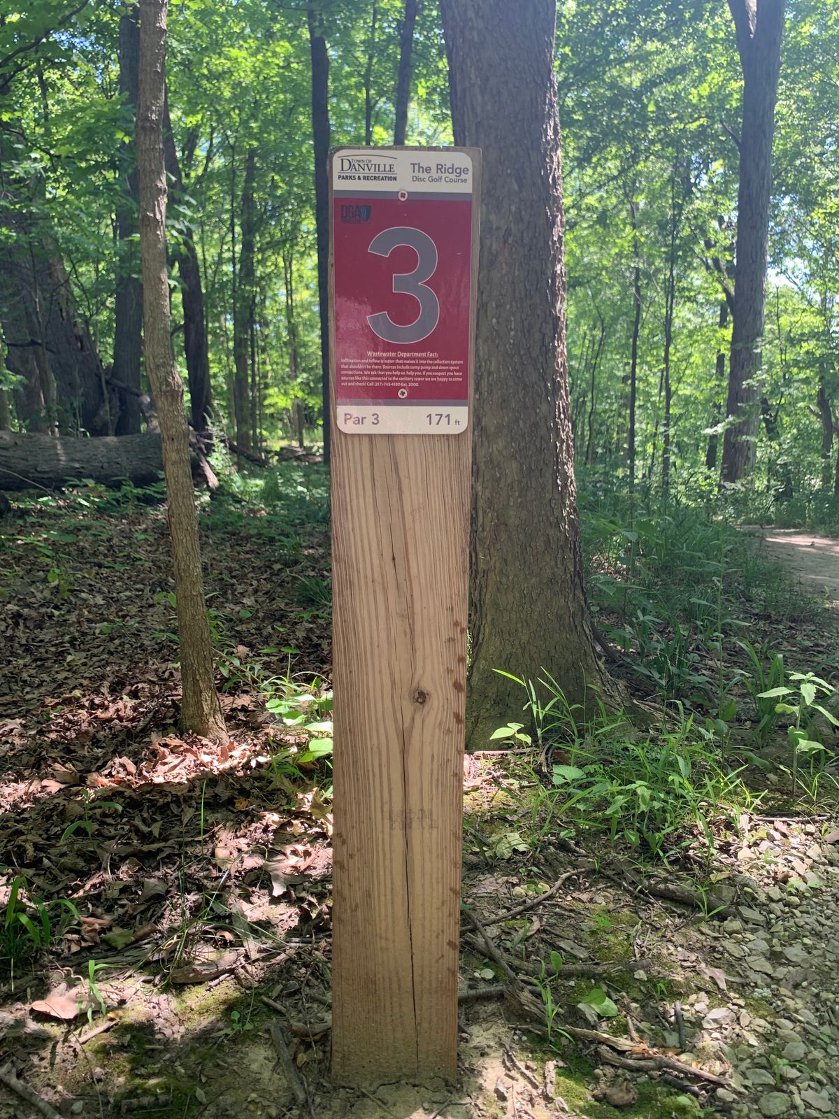 Hole 3 - Par 3 - 171ft