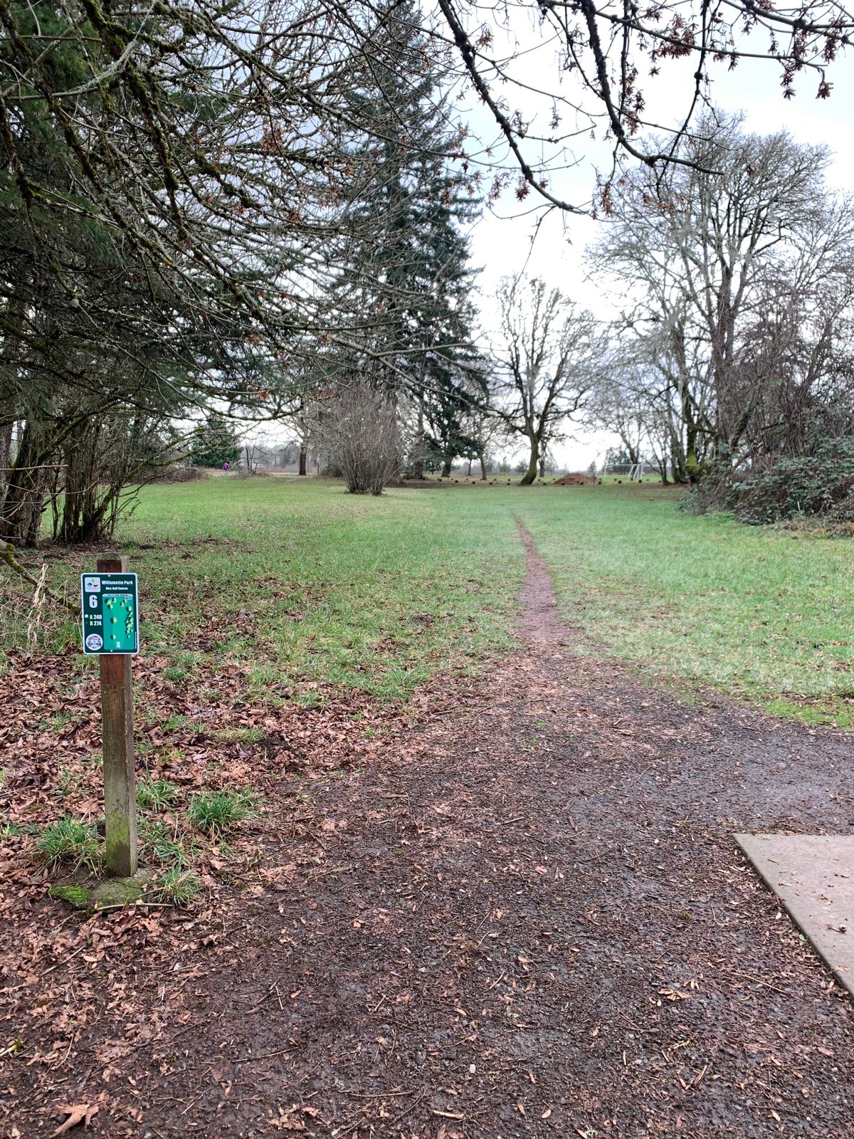Hole 6