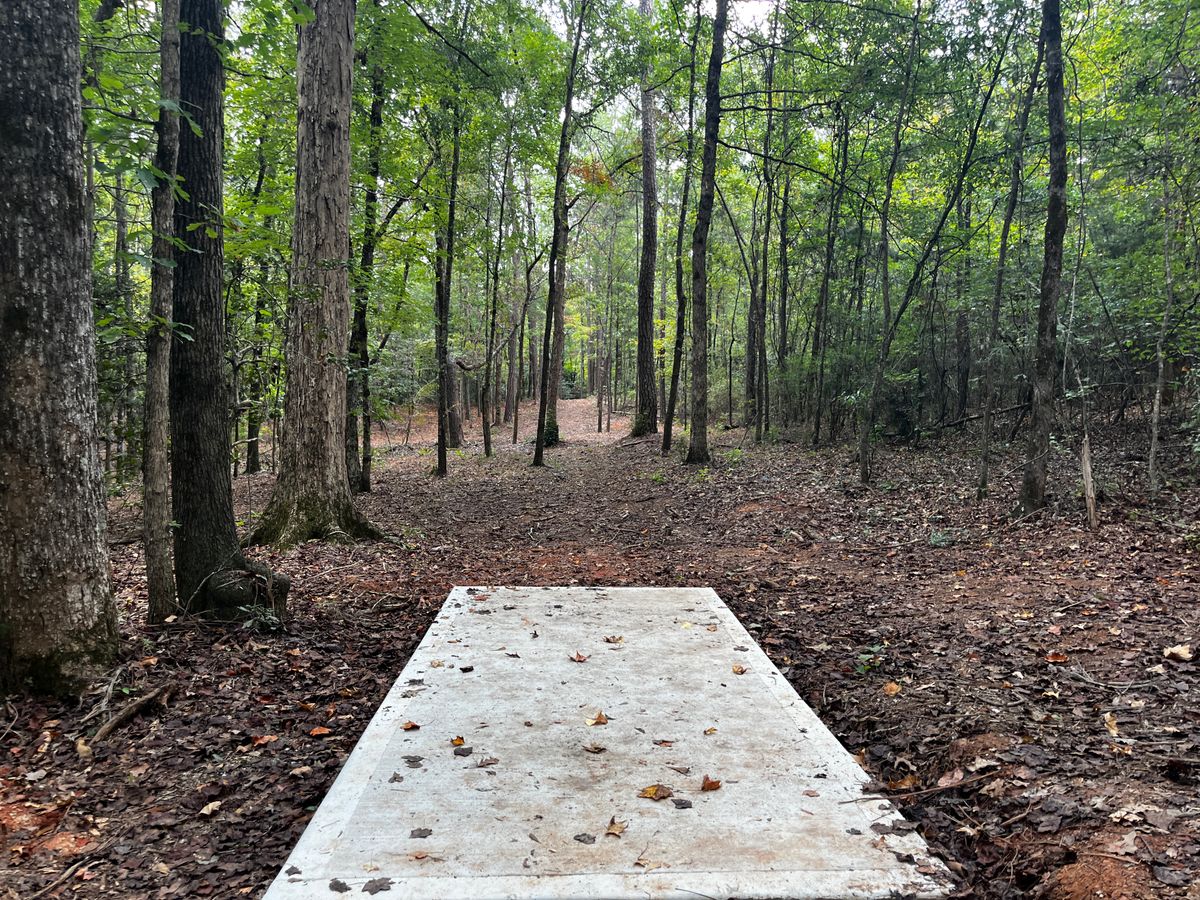 Hole 7 tee box
