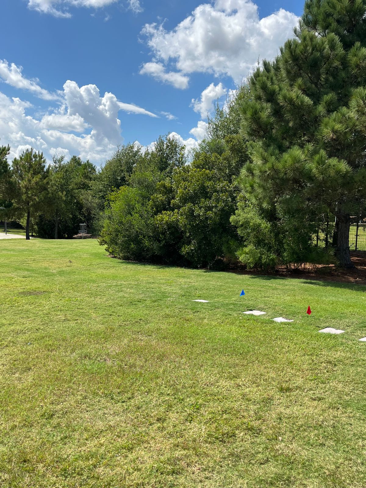 View of hole #8 basket. Blind tee shot.