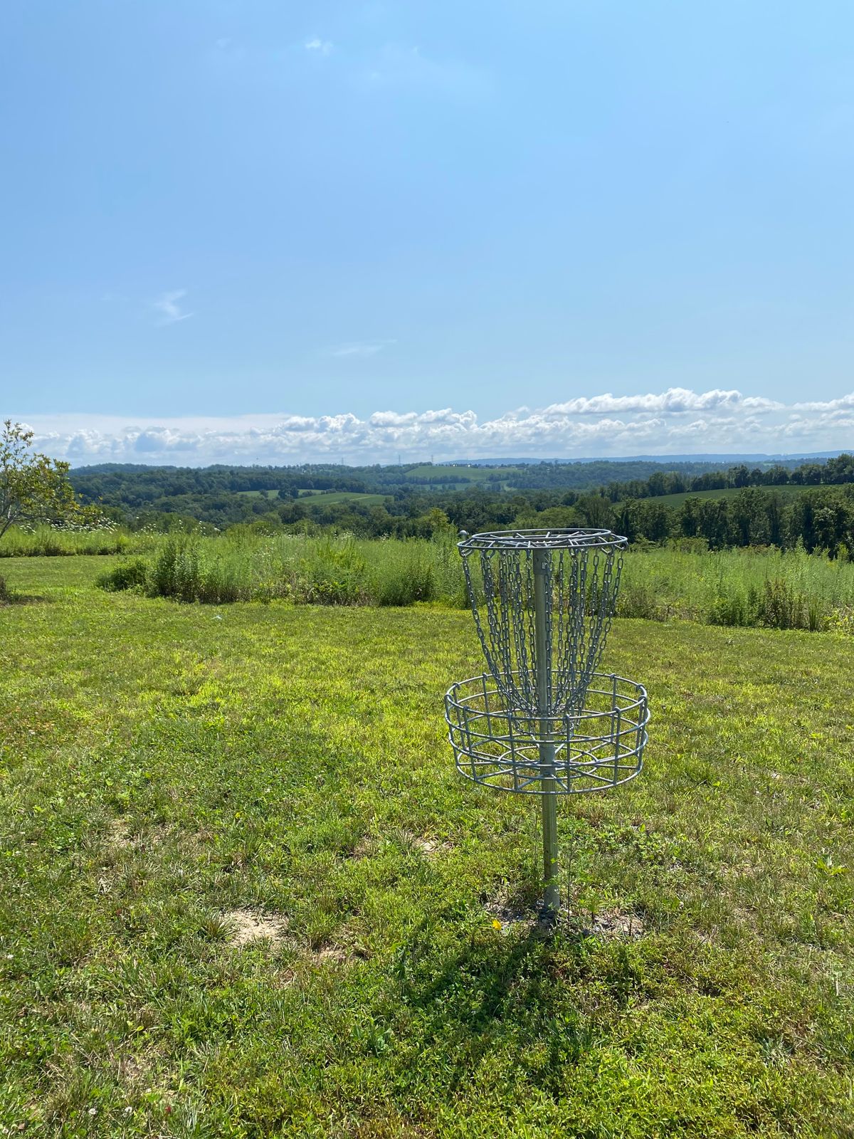 Hole 3 basket