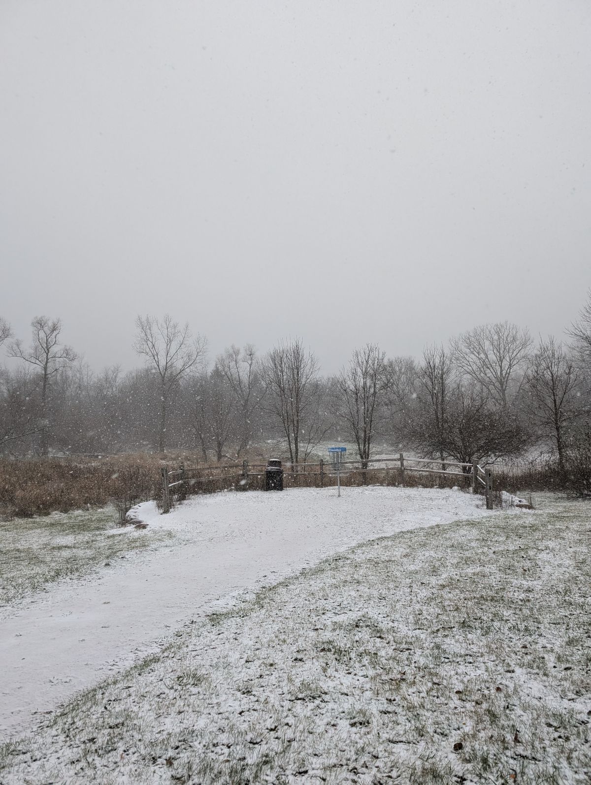 Hole 11's basket in the snow