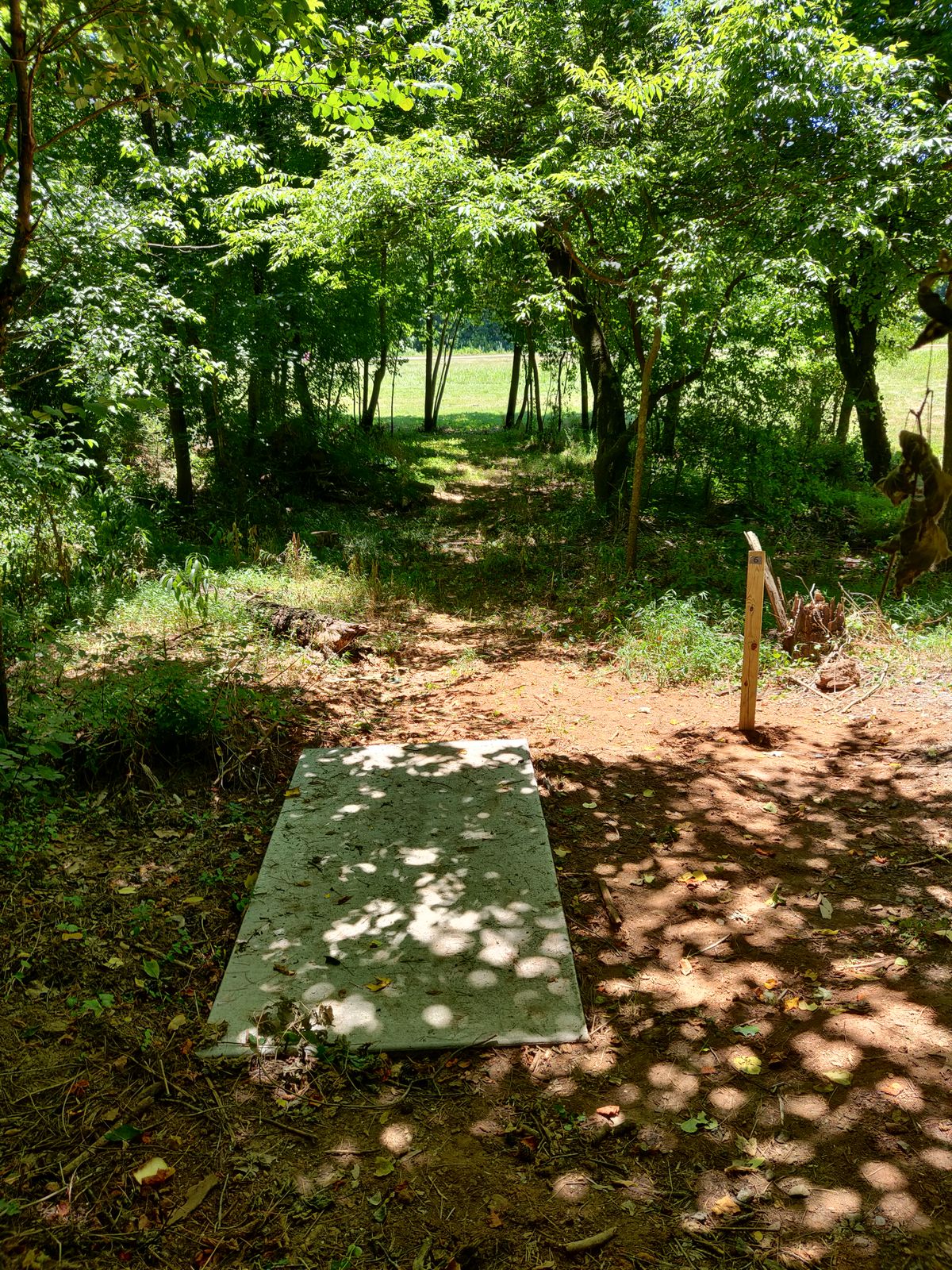 Hole 6. The fairway turns left after leaving the woods.