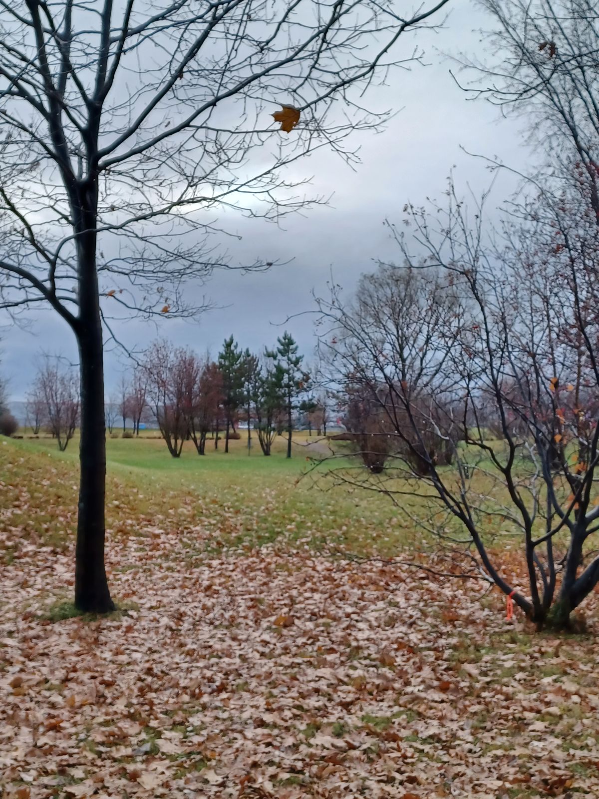 New layout hole 6 (november 2024)