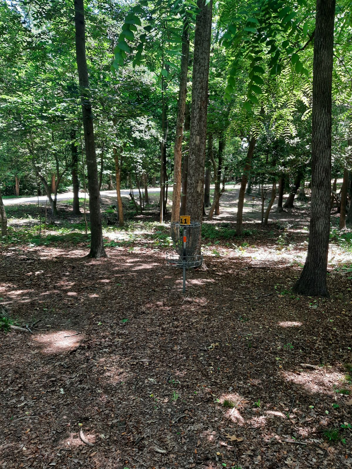 Hole 11 Basket