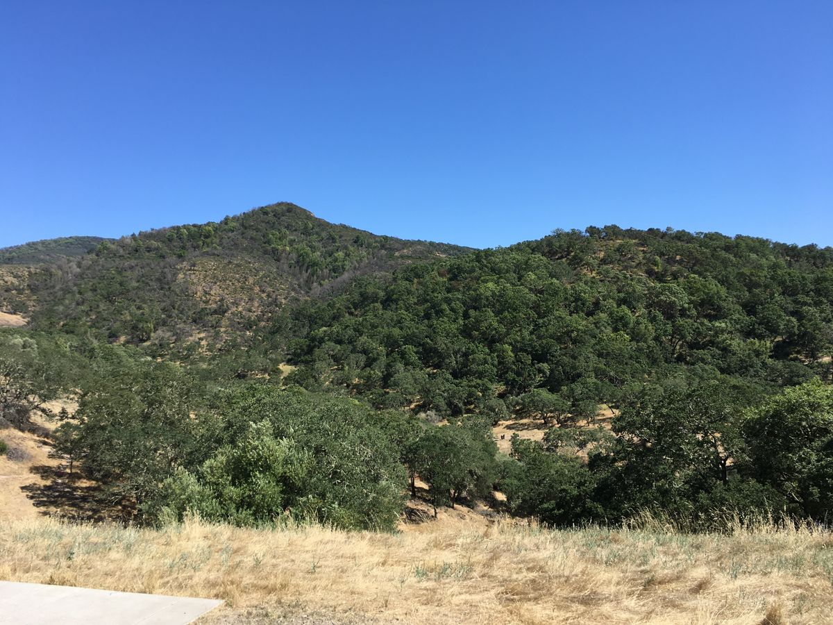 Very hilly. Lots of discouraging rollers down several hills. But fun.