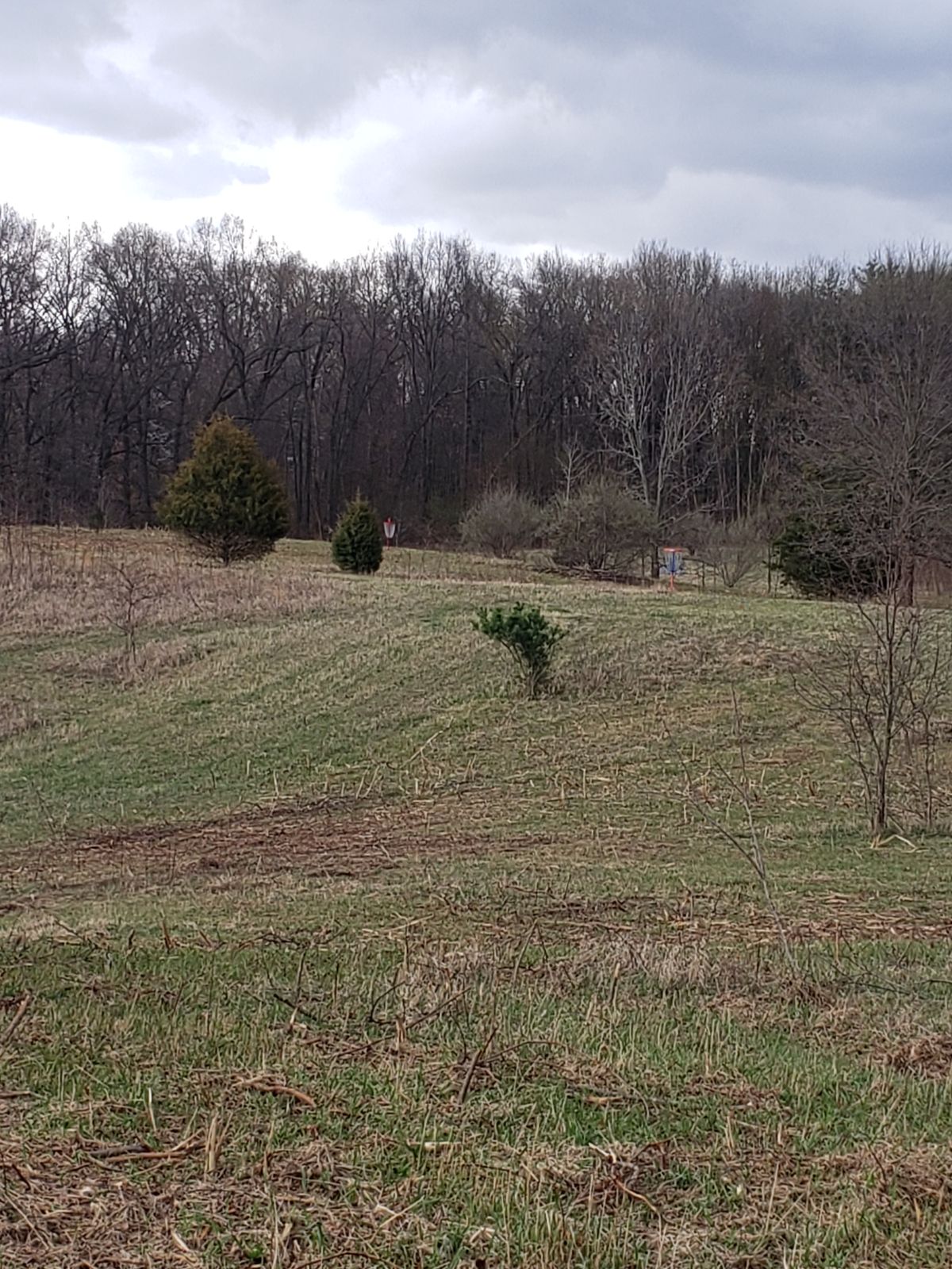 Overlooking the course.