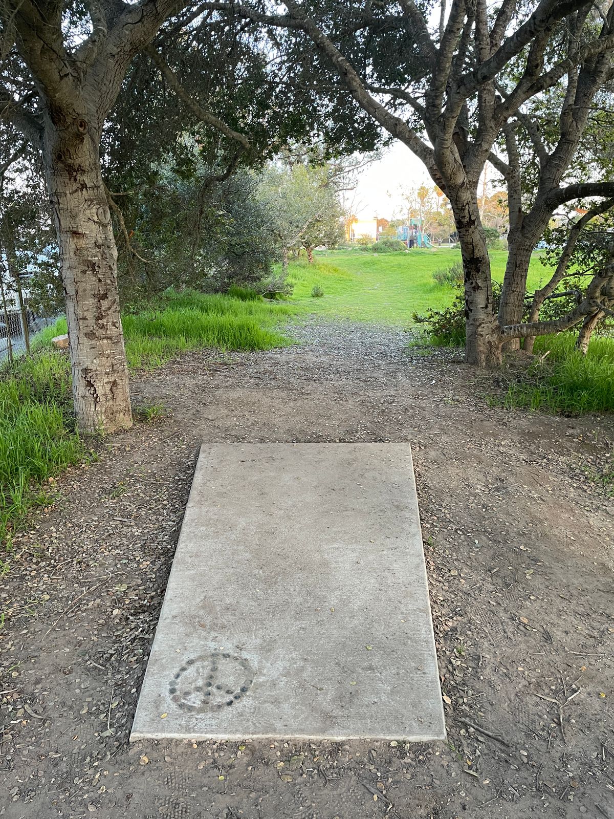 Hole 5