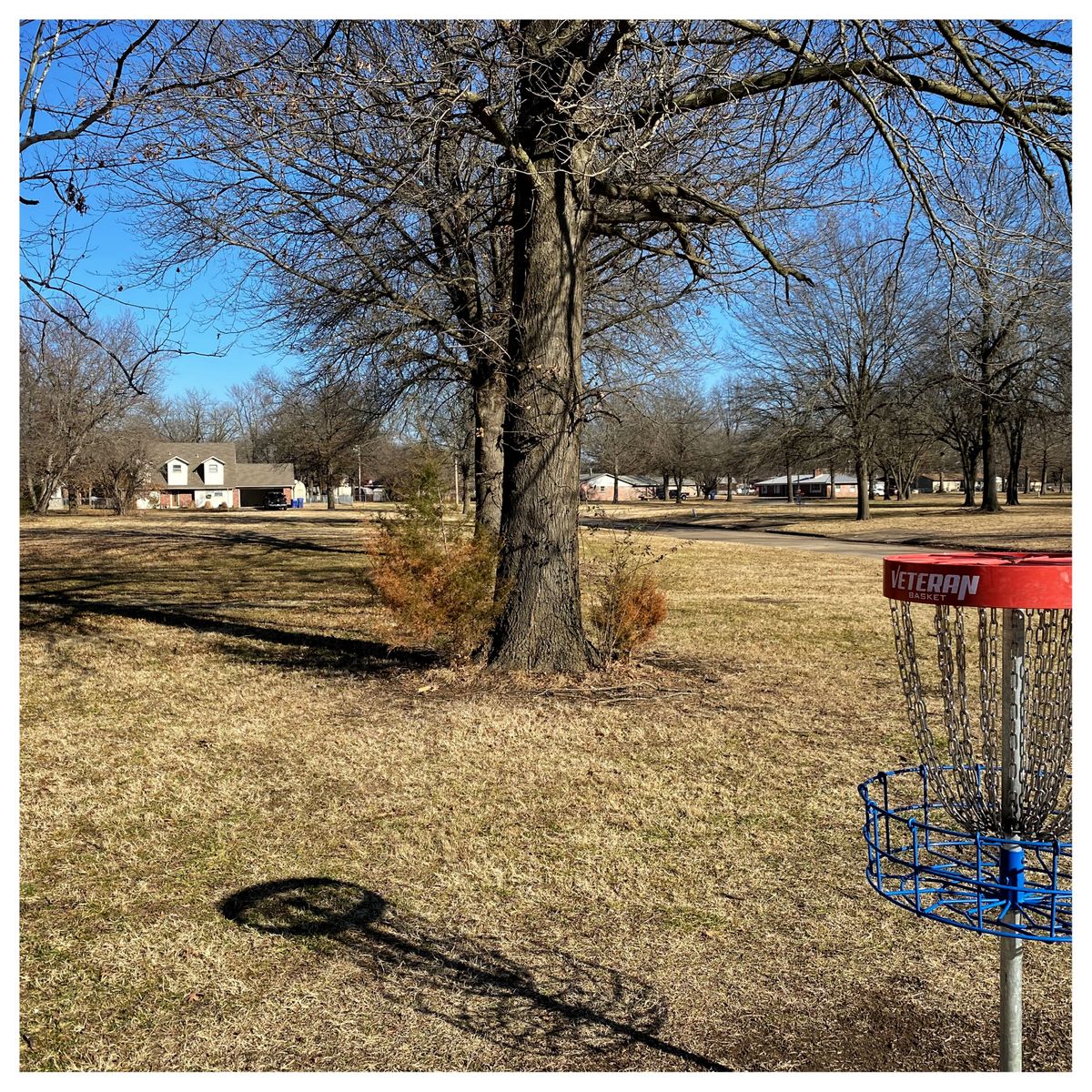#15 green