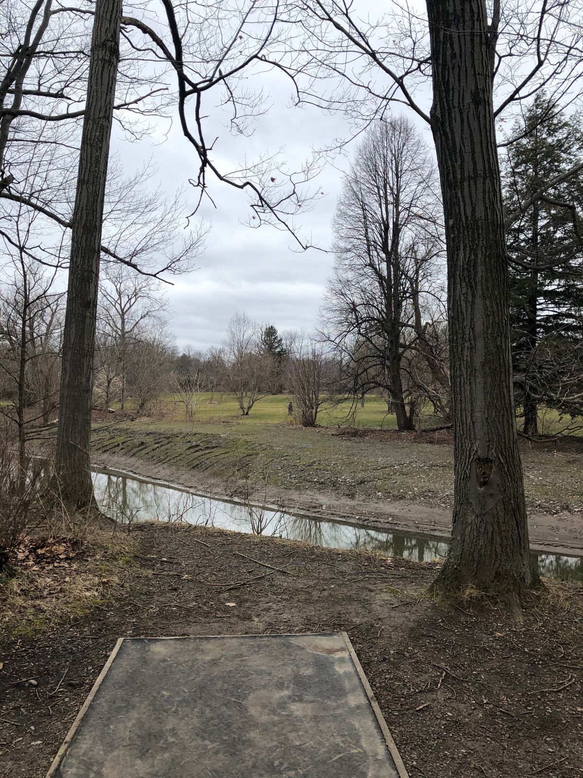 8th tee