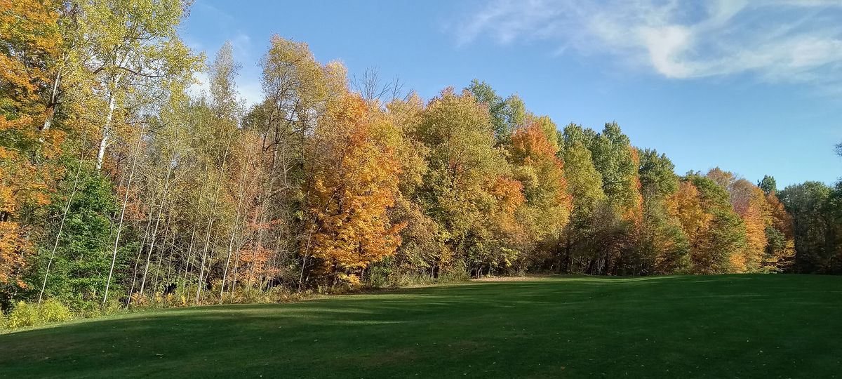 Beautiful colorful hole #12