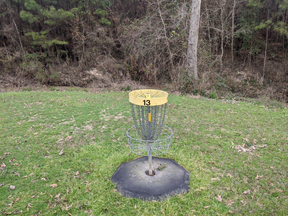 Hole 13 Basket