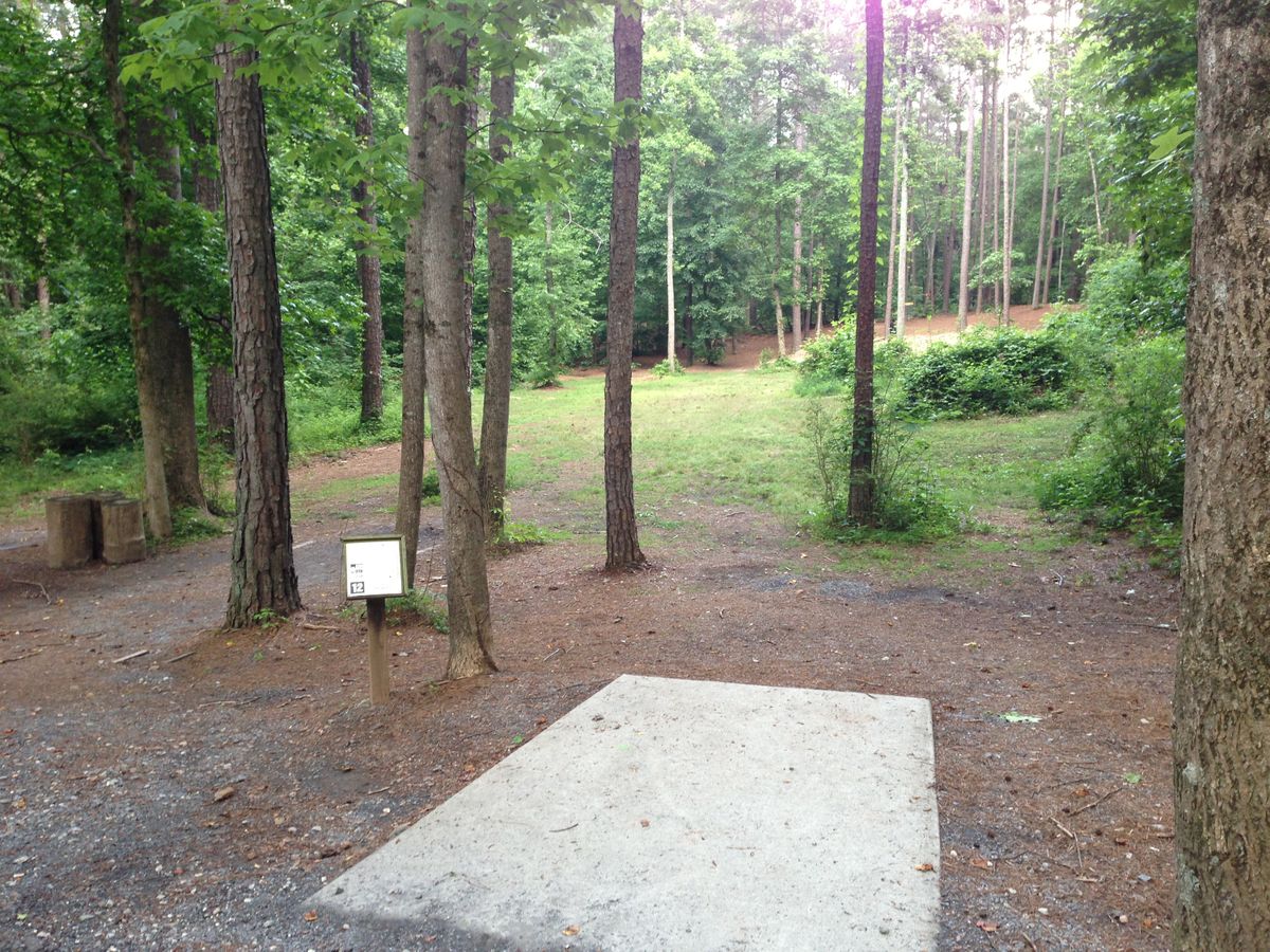 Hole 12 -- long tee