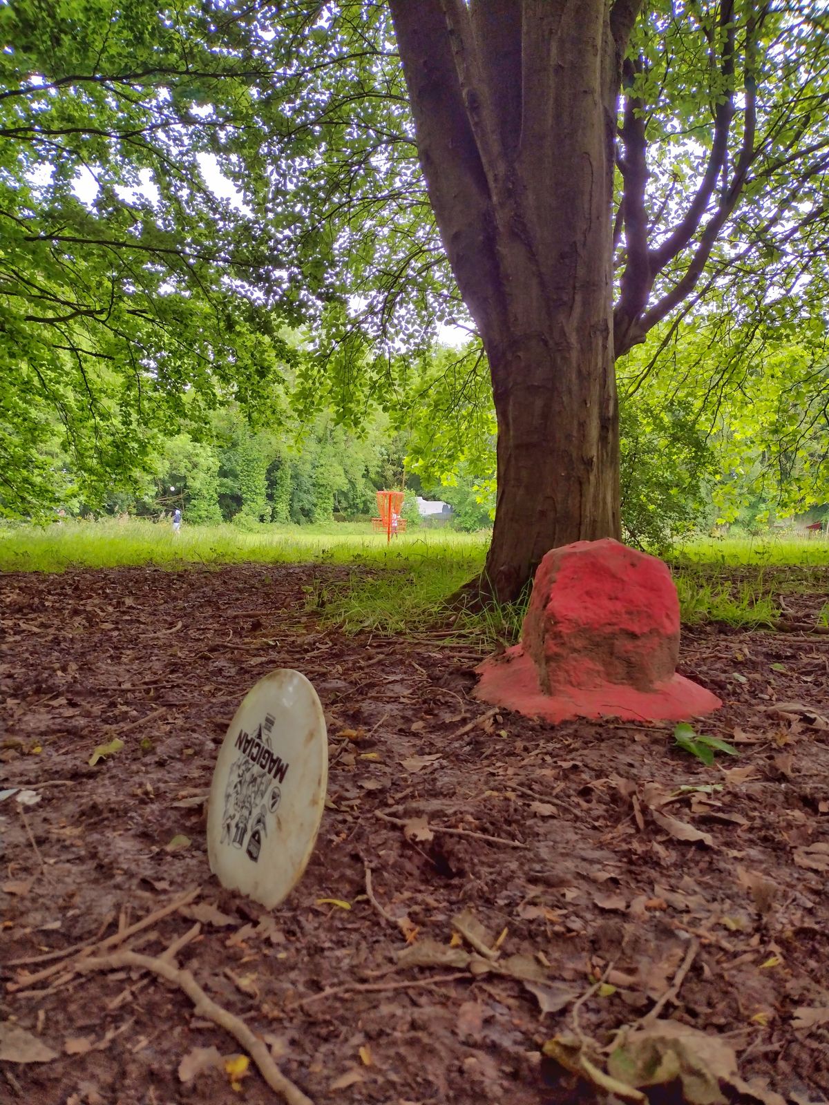 Telford Town Park
