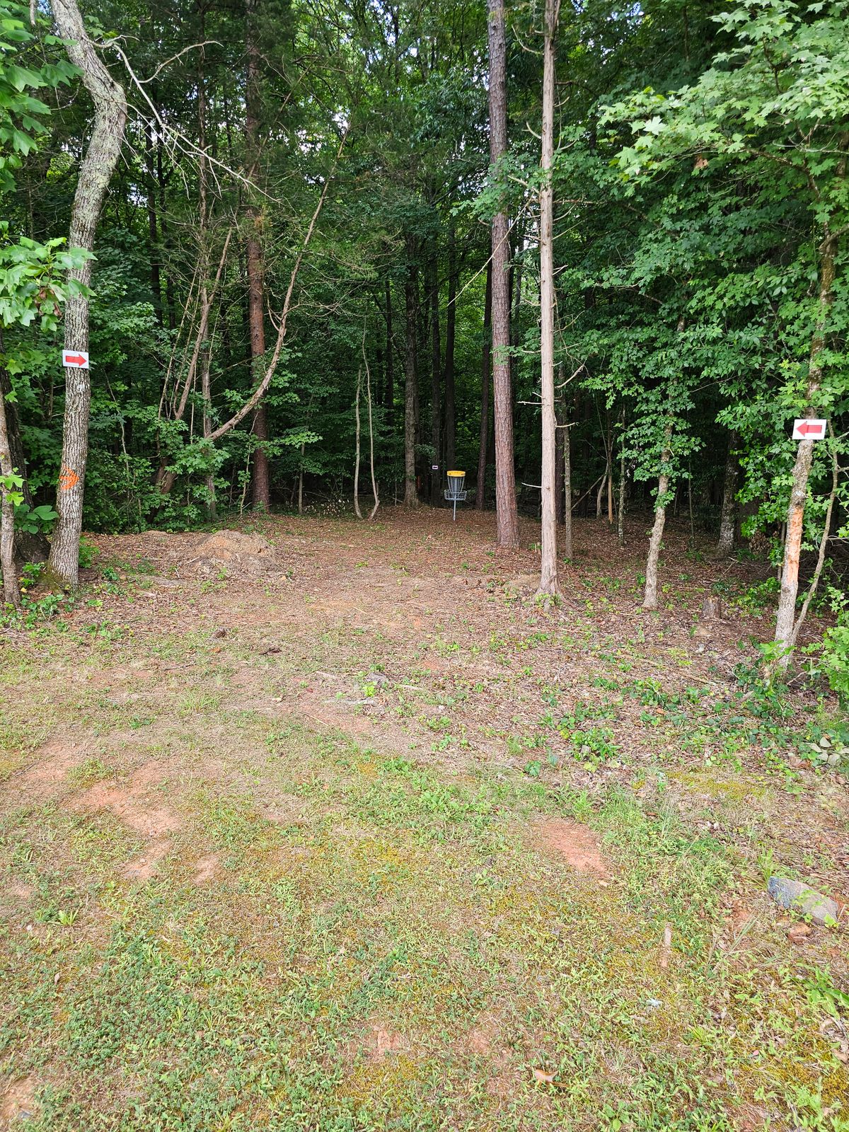 Hole 6's fairway