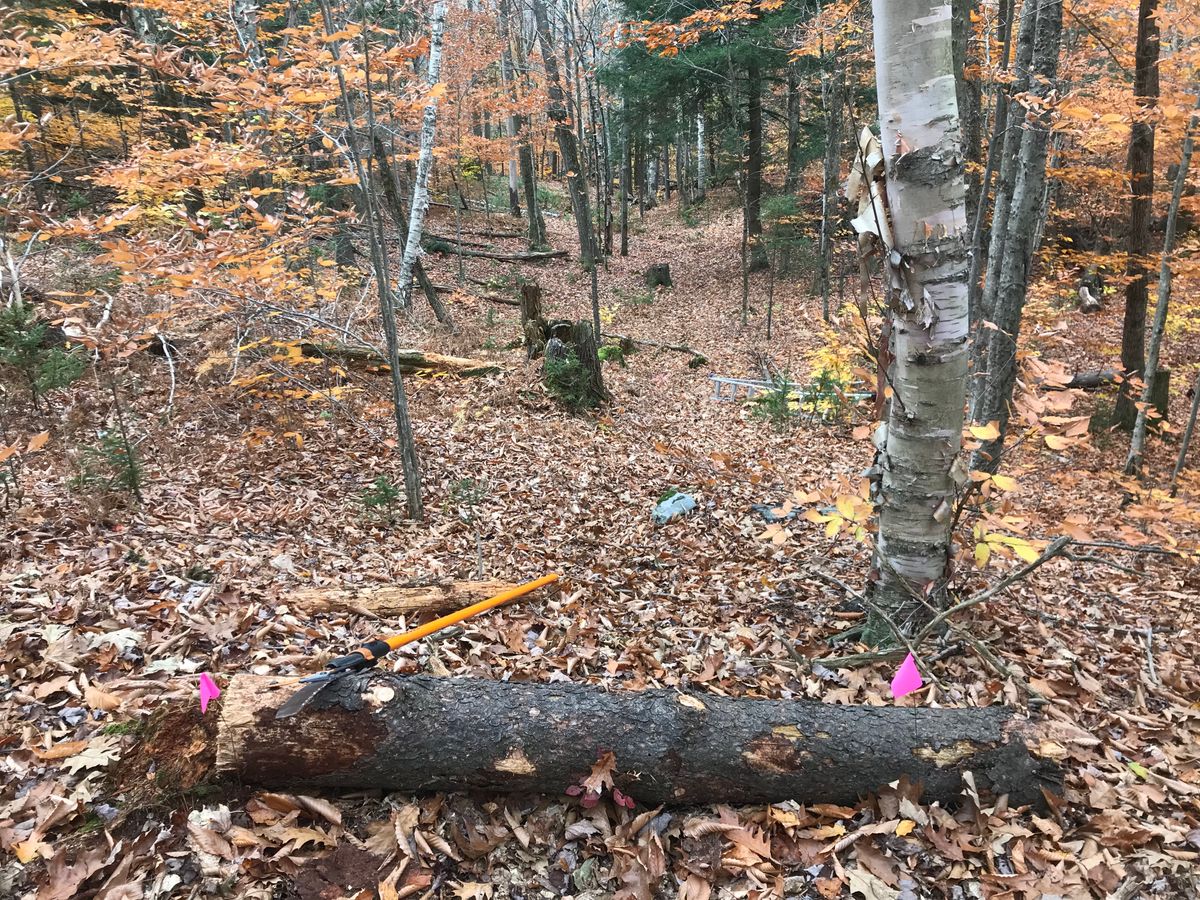 Hole 15’s “new” pink tee pad.