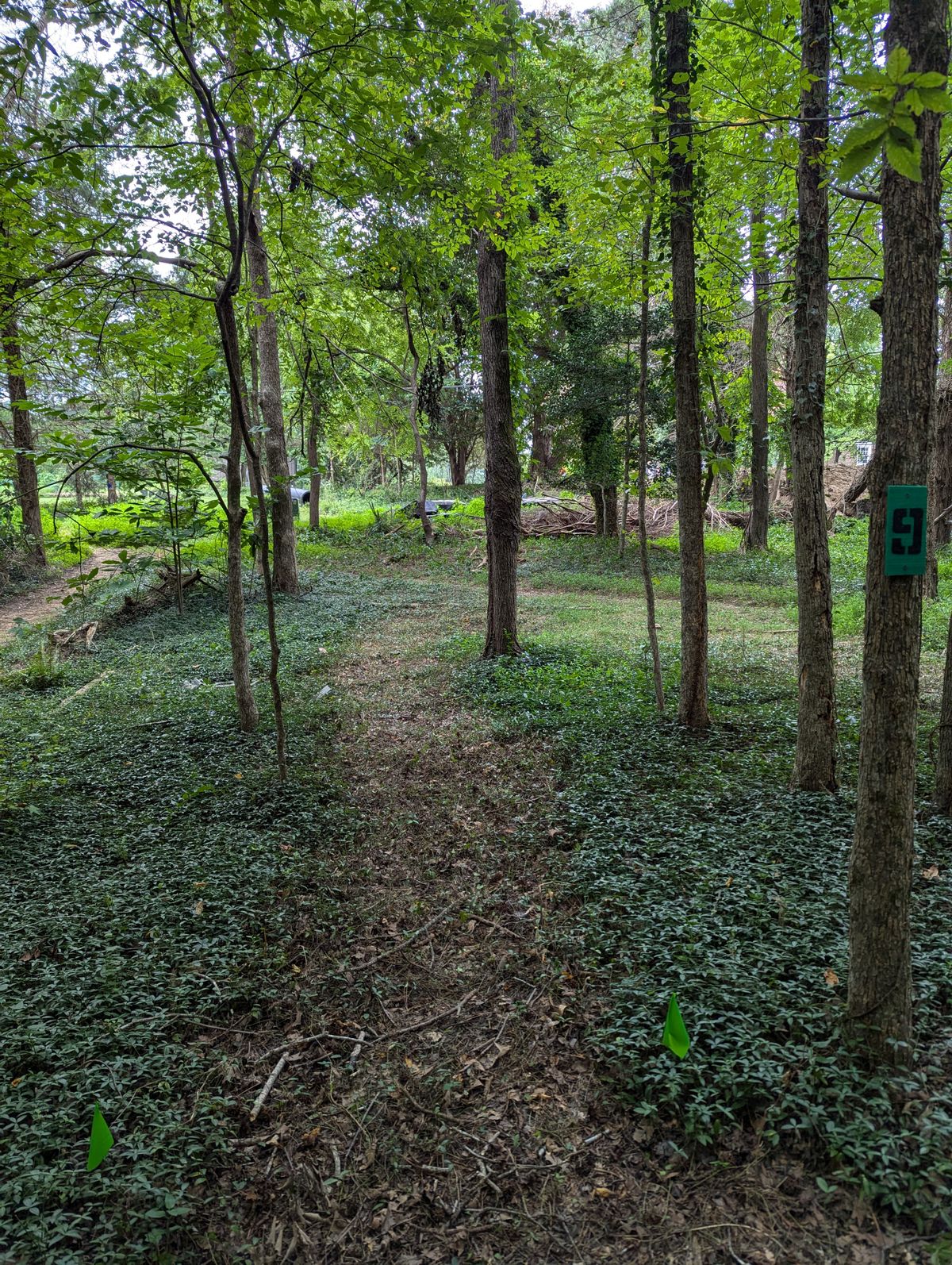 9 Green tee