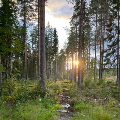 Väylä 11