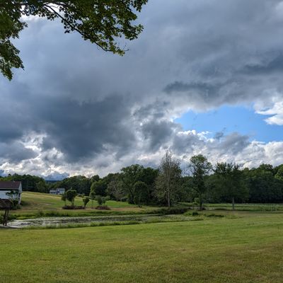 Hole 1's Pond