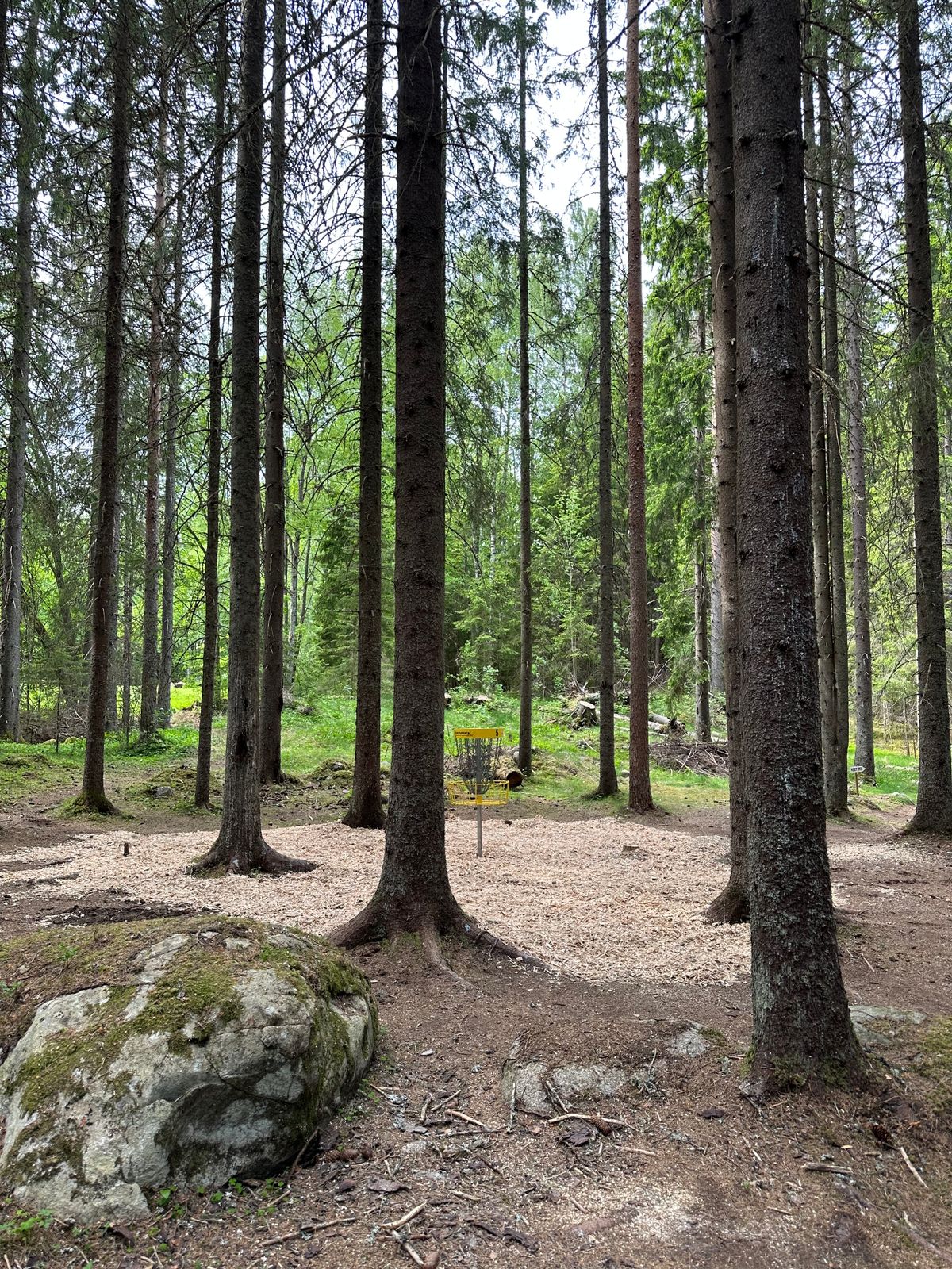 Hål 5