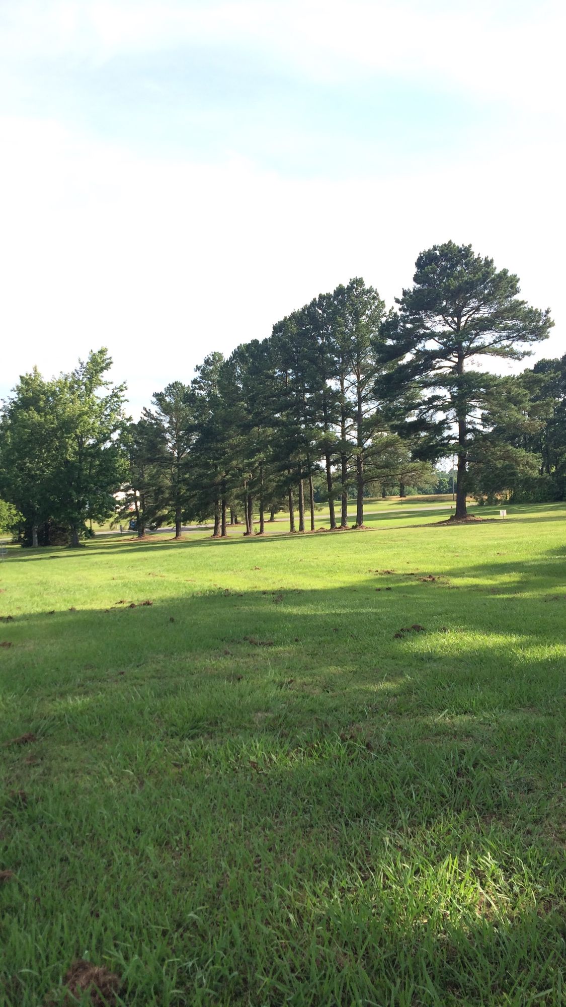Next 4 holes to the right
