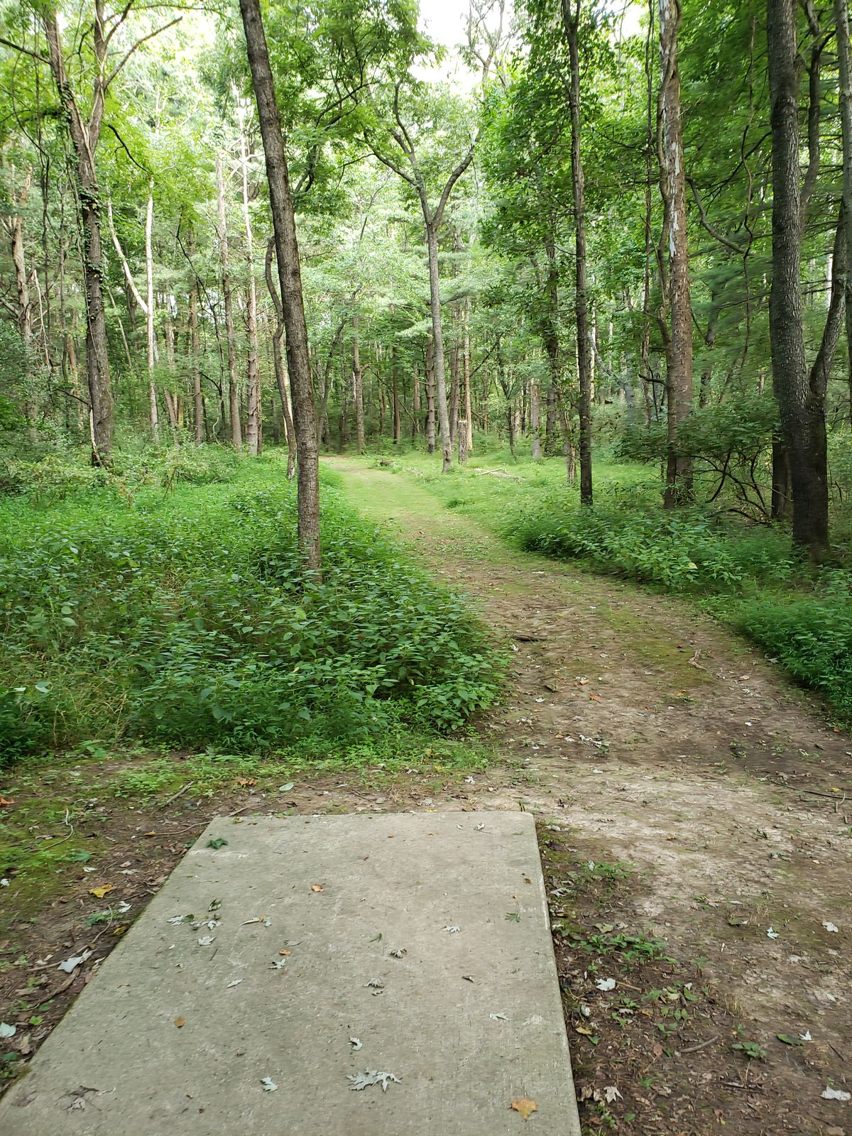 #7 Tee-Pad and Fairway