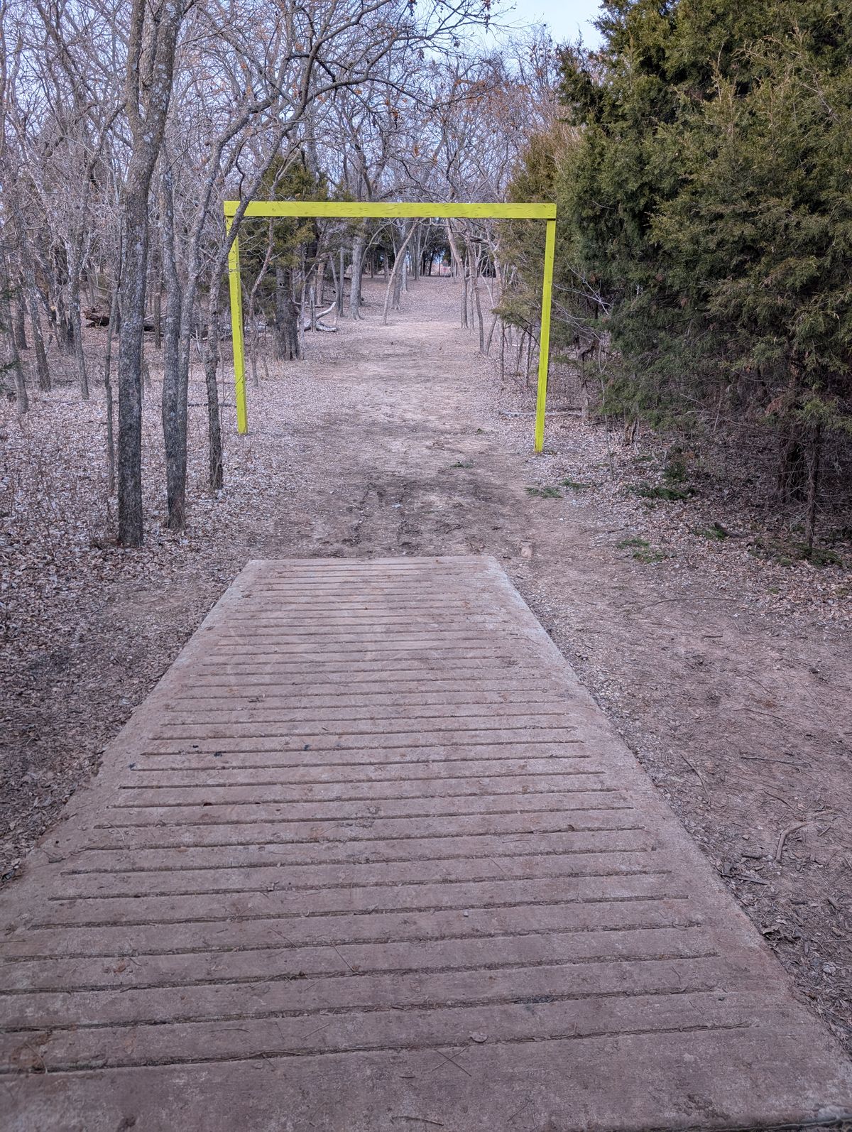 Tee box for whole 2.