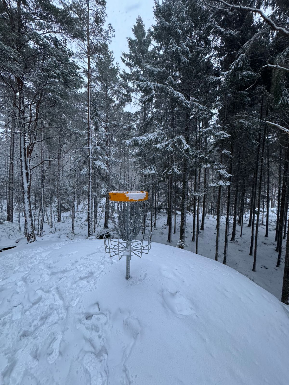 Hål 11