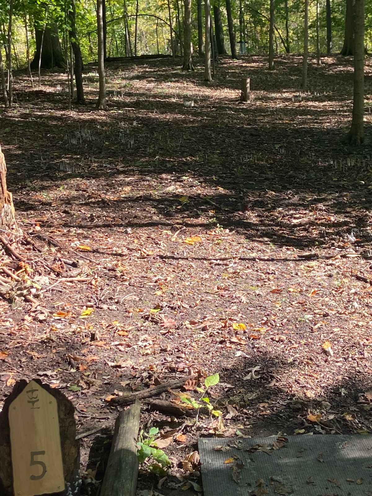 Hole 5. Ace run for some of the better players.
