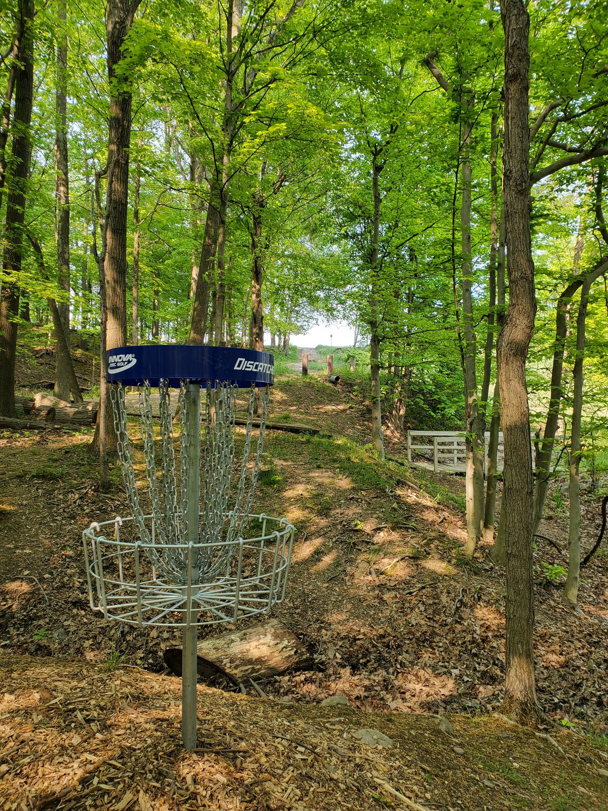 Basket to tee.