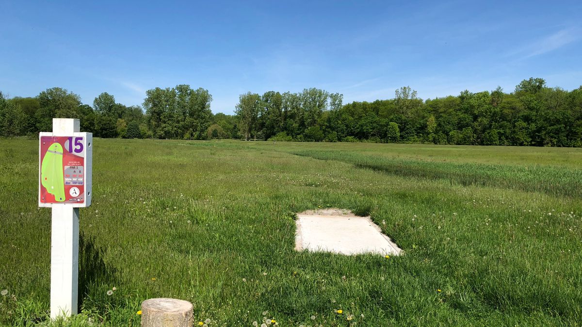 Hole 15