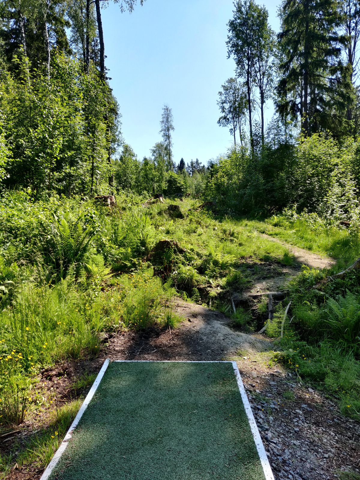 Väylä 4, suoraa linjaa, kori ei näy tiiltä vaan vasta ~20 metrin päästä