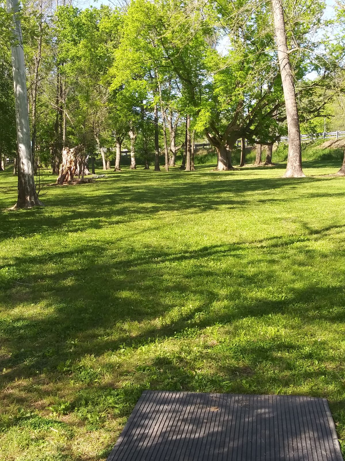 Hole 8