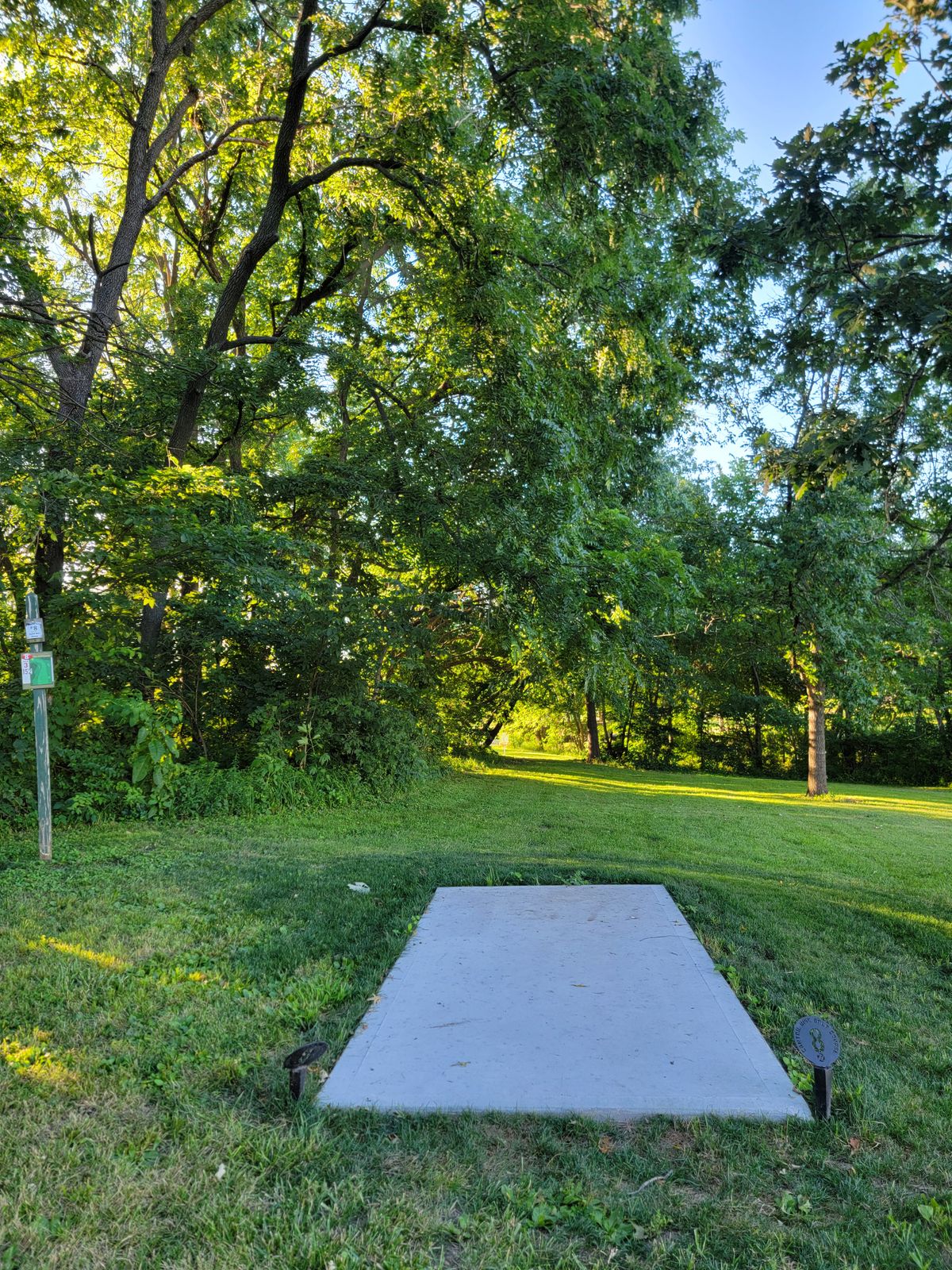 Hole #8