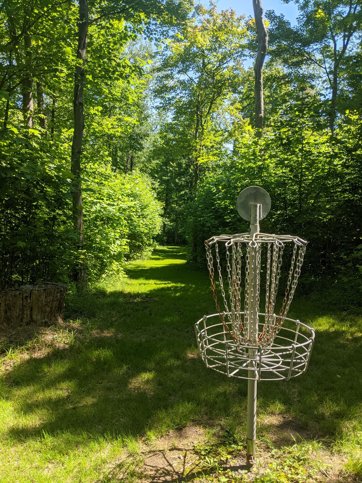 Looking back on hole 9 from the basket
