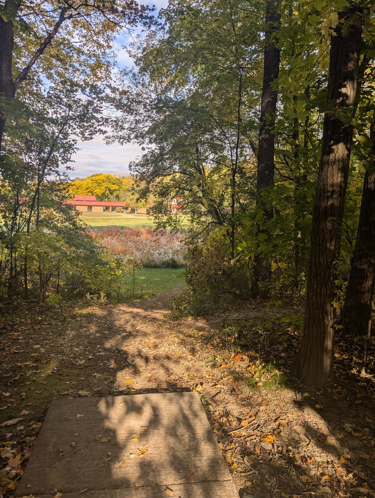 Long tees, hole 9. Basket off to left, big downhill drive.